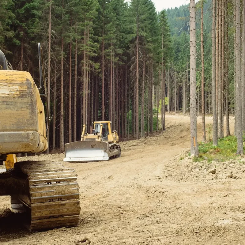 Bulldozer legen in hohen Wäldern einen Feldweg für den Bau einer Forststraße frei.