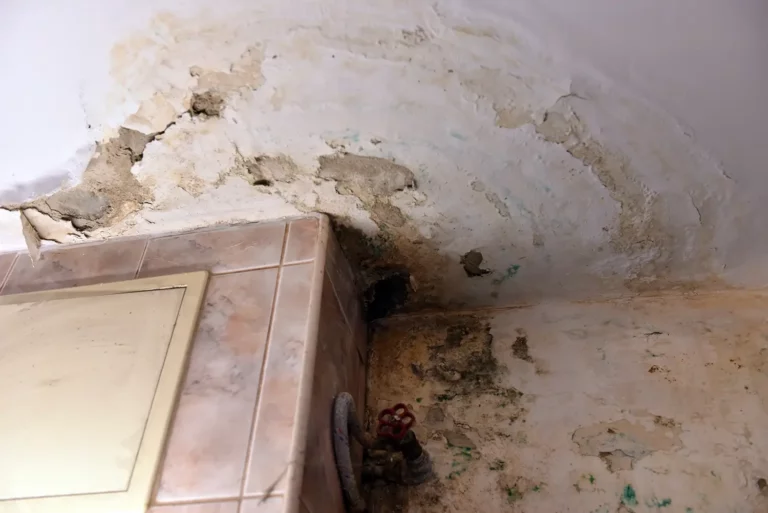 Schimmel- und Wasserschaden an der Badezimmerwand – Sanierungsarbeiten oberhalb der Fliesendecke erforderlich.
